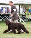 20170928-conf-0181