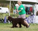 20170928-conf-0023