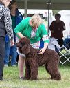 20170928-conf-0039