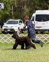 20170930-conf-0306