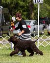 20170930-conf-0356