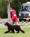 20170930-conf-0407