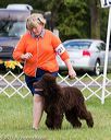20170930-conf-0430