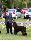 20170930-conf-0449