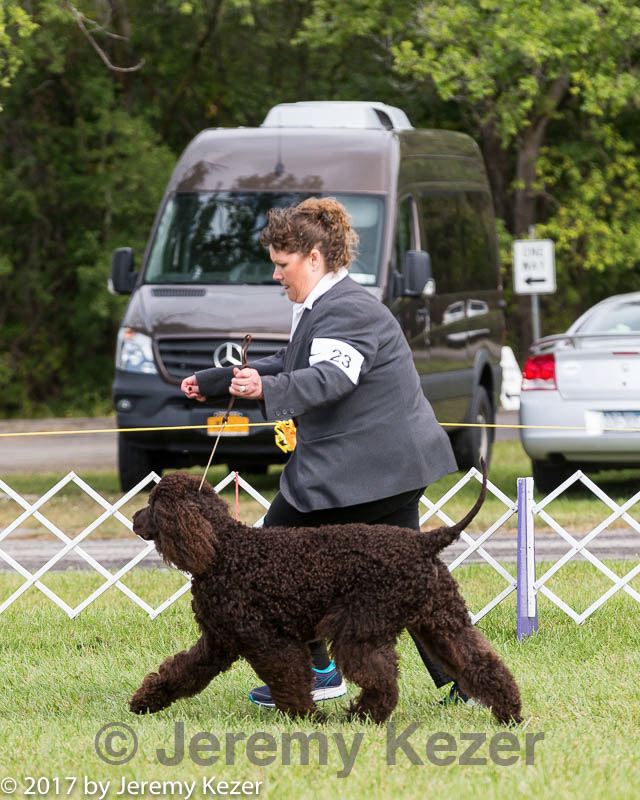 20170930-conf-0364.jpg