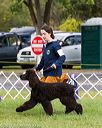 20170930-conf-0048