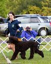 20170930-conf-0054