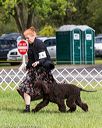 20170930-conf-0093