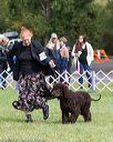 20170930-conf-0108