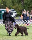 20170930-conf-0112