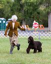 20170930-conf-0140