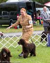 20170930-conf-0241