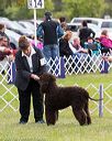 20170930-conf-0282