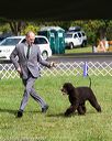 20170930-conf-0004