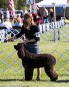 20171001-conf-0134