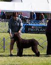 20171001-conf-0143