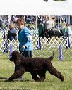 20171001-conf-0151