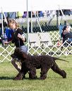 20171001-conf-0165