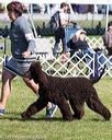 20171001-conf-0168