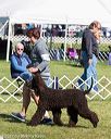 20171001-conf-0172