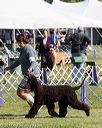 20171001-conf-0178