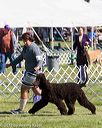 20171001-conf-0180