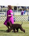 20171001-conf-0197