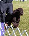 20171001-conf-0234