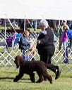 20171001-conf-0080