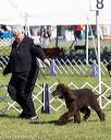 20171001-conf-0087
