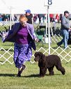 20171001-conf-0030