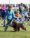 20171001-conf-0037
