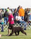 20171001-conf-0041