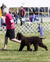 20171001-conf-0065