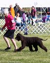 20171001-conf-0067