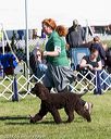 20171001-conf-0075