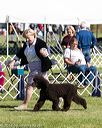 20171001-conf-0094