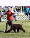 20171001-conf-0126