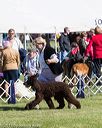 20171001-conf-0003