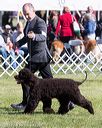 20171001-conf-0017