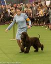 20180213-0167