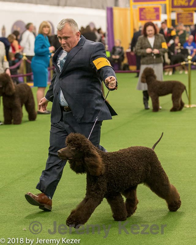 20180213-0240.jpg