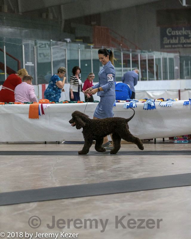 20180720-0146.jpg
