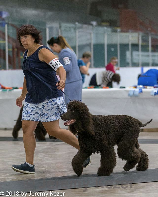 20180720-0148.jpg