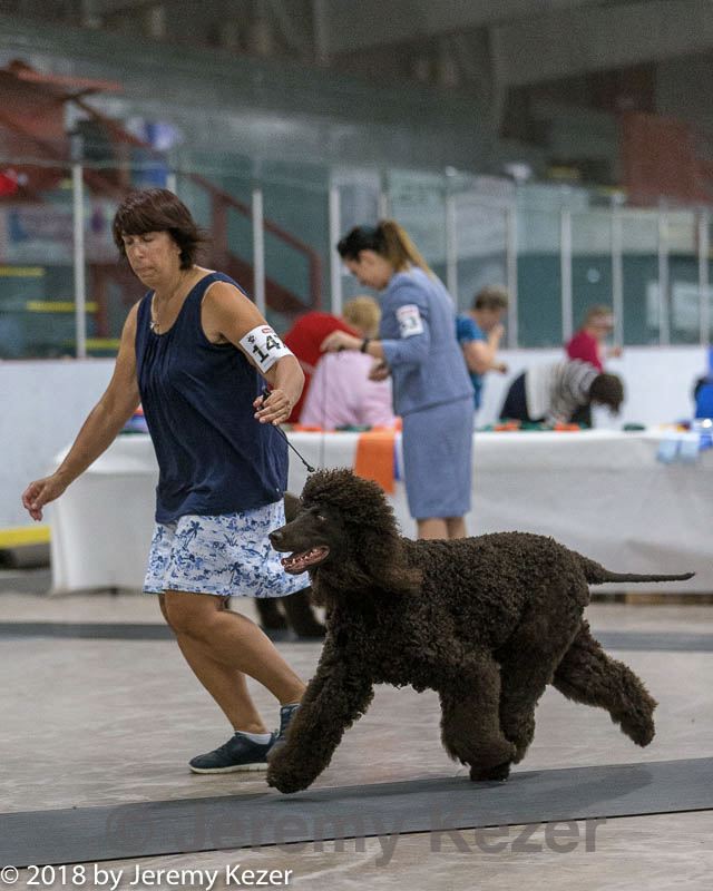 20180720-0149.jpg