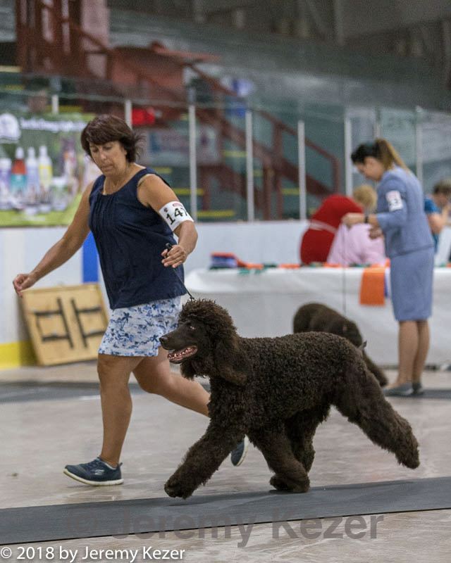20180720-0151.jpg