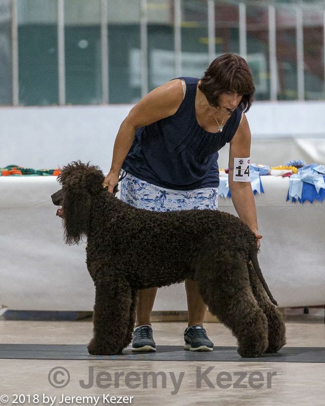 20180720-0071.jpg