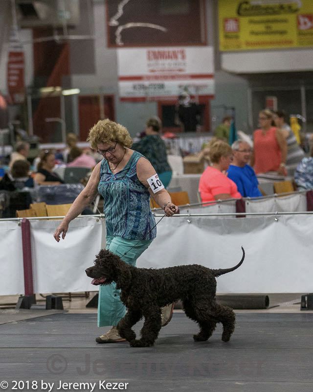 20180721-0262.jpg