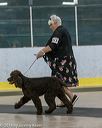 20180722-0633