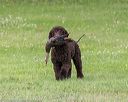 20180723-wcl-0032